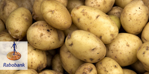 Rabobank---aardappelprijs-stijgt