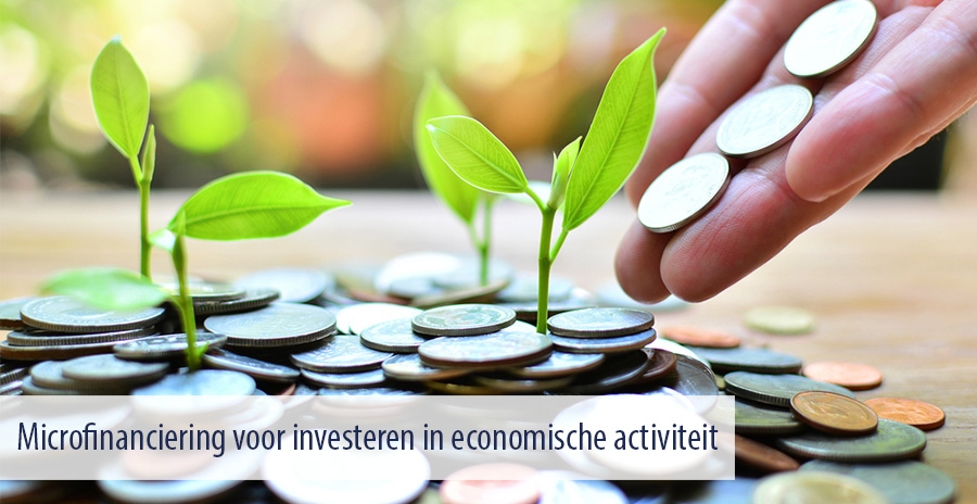 Microfinanciering voor investeren in economische activiteit