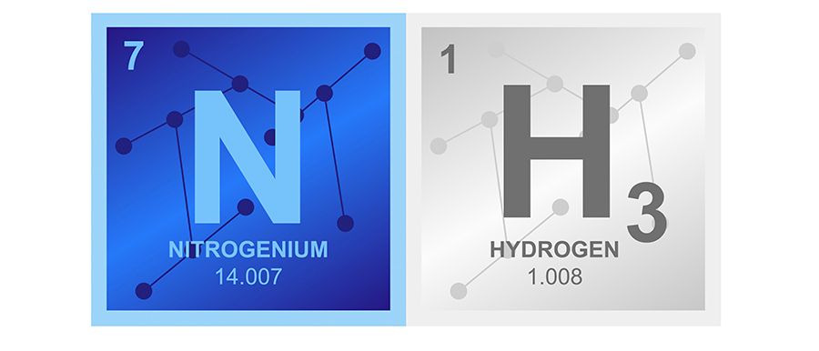 ABN AMRO: vrijwel alle sectoren zuchten onder stikstofuitspraak