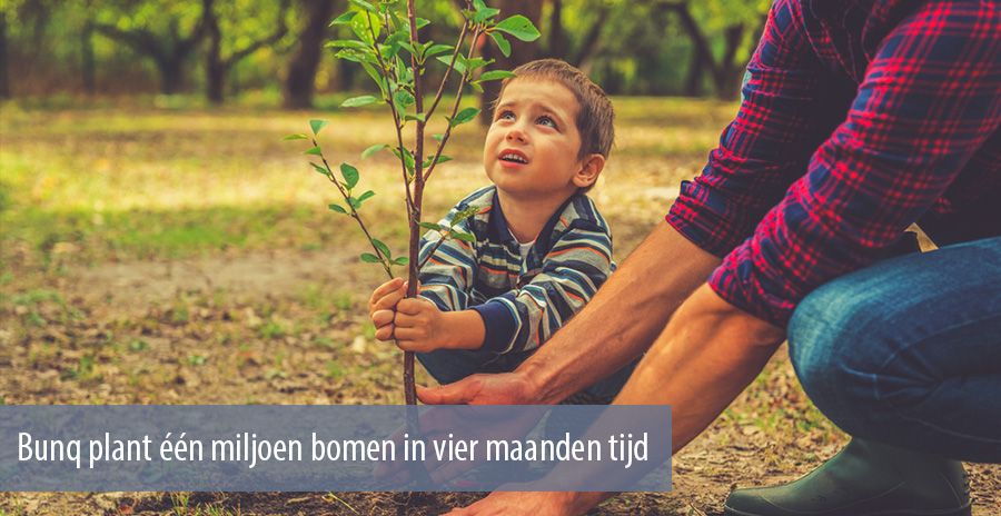 Bunq plant één miljoen bomen in vier maanden tijd