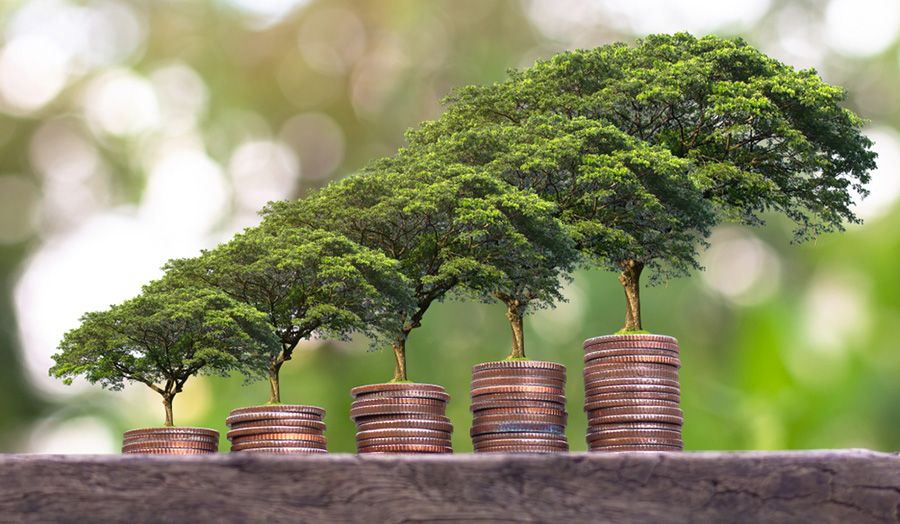 ING Real Estate Finance plant vastgoedbos in Bolivia (en Nederland) ING Real Estate Finance plant vastgoedbos in Bolivia (en Nederland)