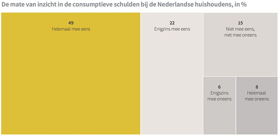 De mate van inzicht in de consumptieve schulden bij de Nederlandse huishoudens De mate van inzicht in de consumptieve schulden bij de Nederlandse huishoudens