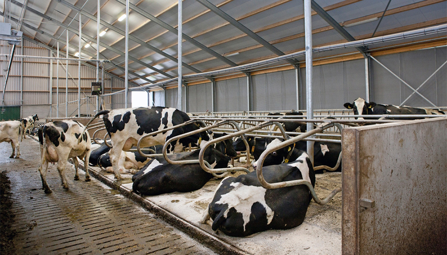 Rabobank presenteert vernieuwde Agrofoodvisie