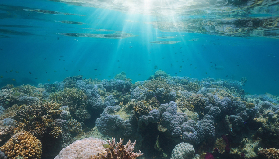 BNP Paribas Foundation trekt 7 miljoen euro uit voor klimaat- en biodiversiteitsonderzoek