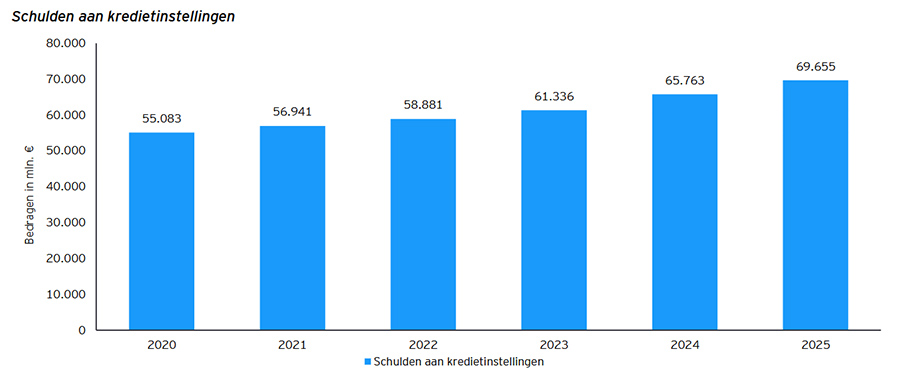 Schulden aan kredietinstellingen