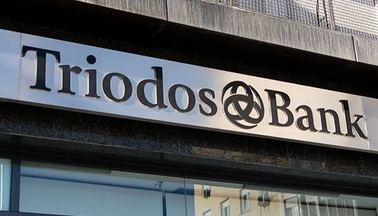 Triodos presenteert vijf bouwstenen voor nieuwe economie na corona