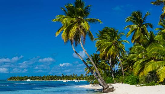 Witwassende en frauderende bankier hoort acht jaar cel tegen zich eisen