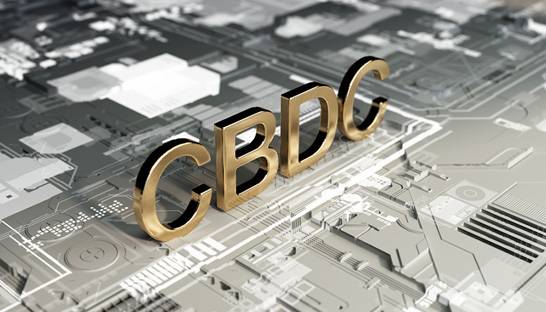 Topeconoom waarschuwt centrale banken voor trage invoering CBDC 