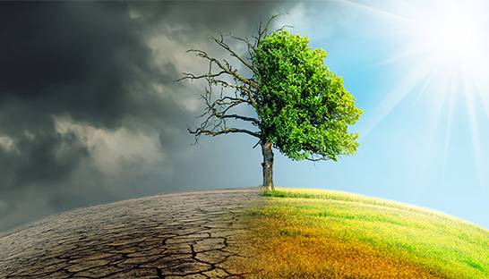 ASN Bank: ‘IPCC rapport over mitigatie geeft alarmerend signaal’