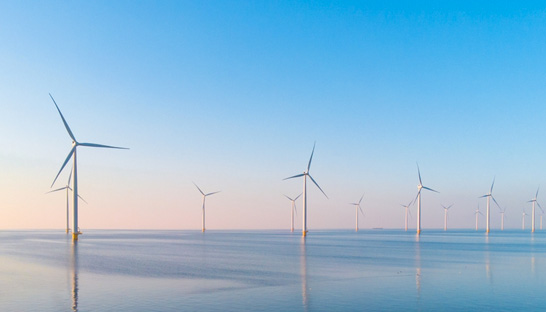 Financiële sector zet zich in voor wettelijke verplichting voor duurzame windparken 