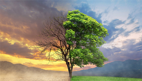 Net Zero Banking Alliance heft zichzelf op