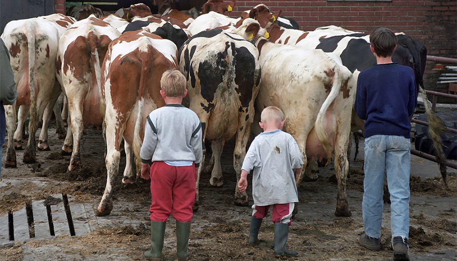 Vergrijzing zorgt mogelijk voor stuurloze bedrijven