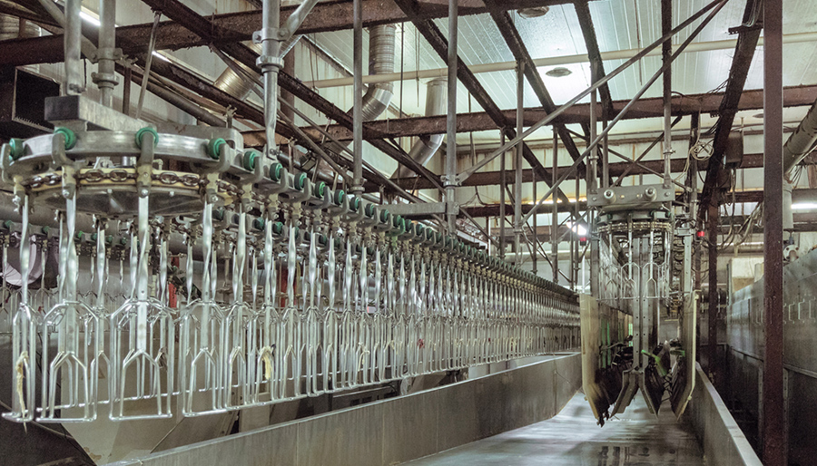 Eerste OESO-klacht tegen bank om dierenwelzijn ontvankelijk verklaard