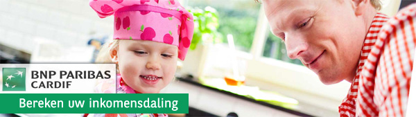 BNP Parisbas - Inkomensscan BNP Parisbas - Inkomensscan