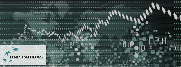 BNP Parisbas - Opkomende markten BNP Parisbas - Opkomende markten