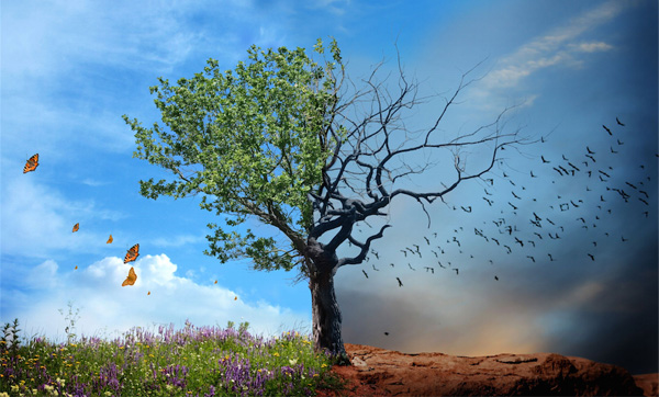 Carbon Accounting Financials Carbon Accounting Financials