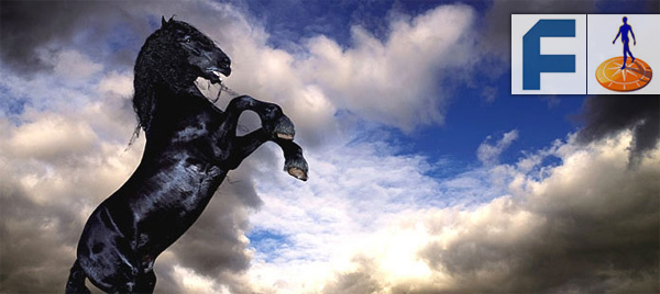 Friesland Bank klanten niet over naar Rabobank Friesland Bank klanten niet over naar Rabobank