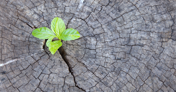 Innovatie-in-financiele-sector Innovatie-in-financiele-sector