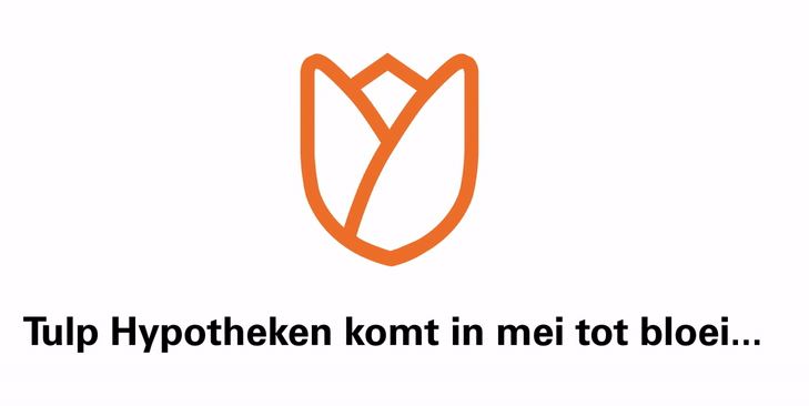 tulp tulp