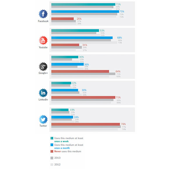 Use of Social Media stagnating